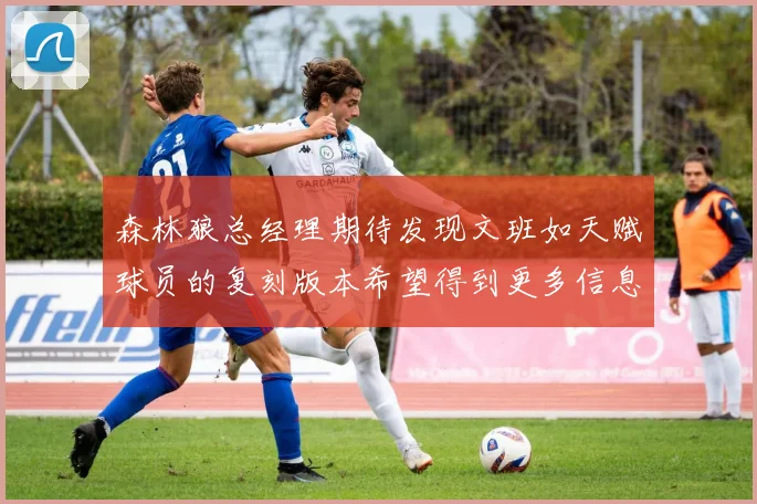 森林狼总经理期待发现文班如天赋球员的复刻版本希望得到更多信息