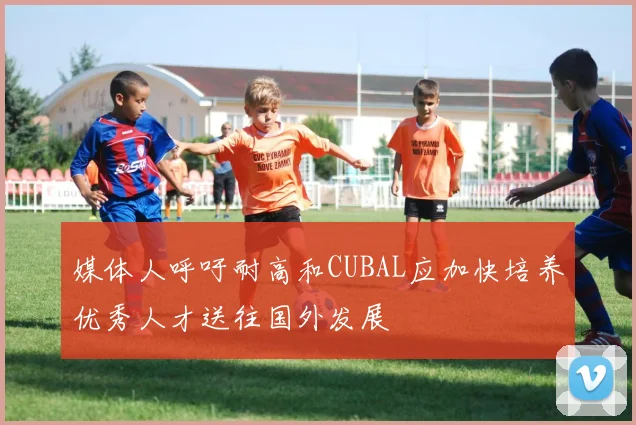 媒体人呼吁耐高和CUBAL应加快培养优秀人才送往国外发展